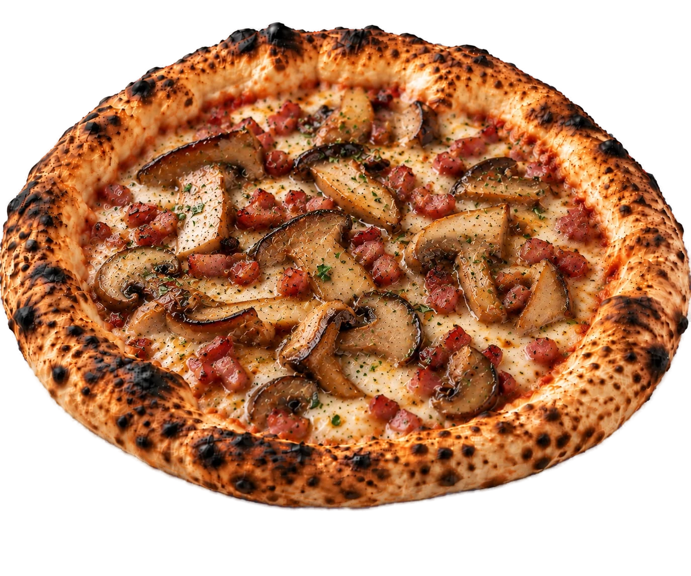 Pizza Cinquecento