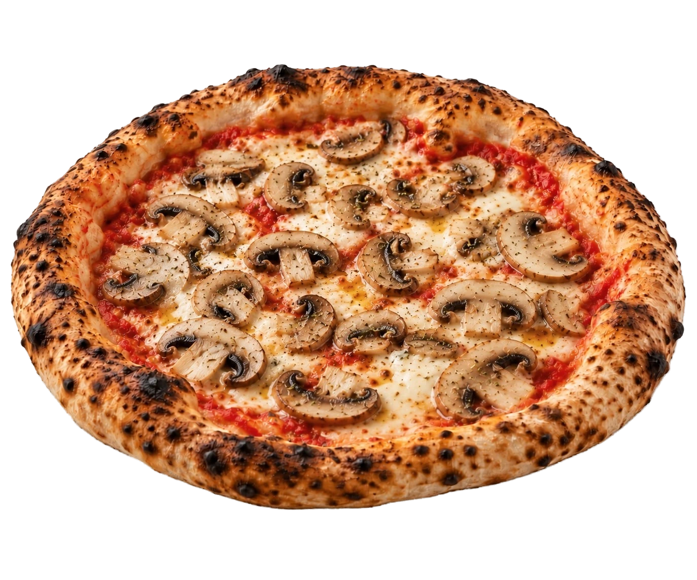 Pizza Funghi